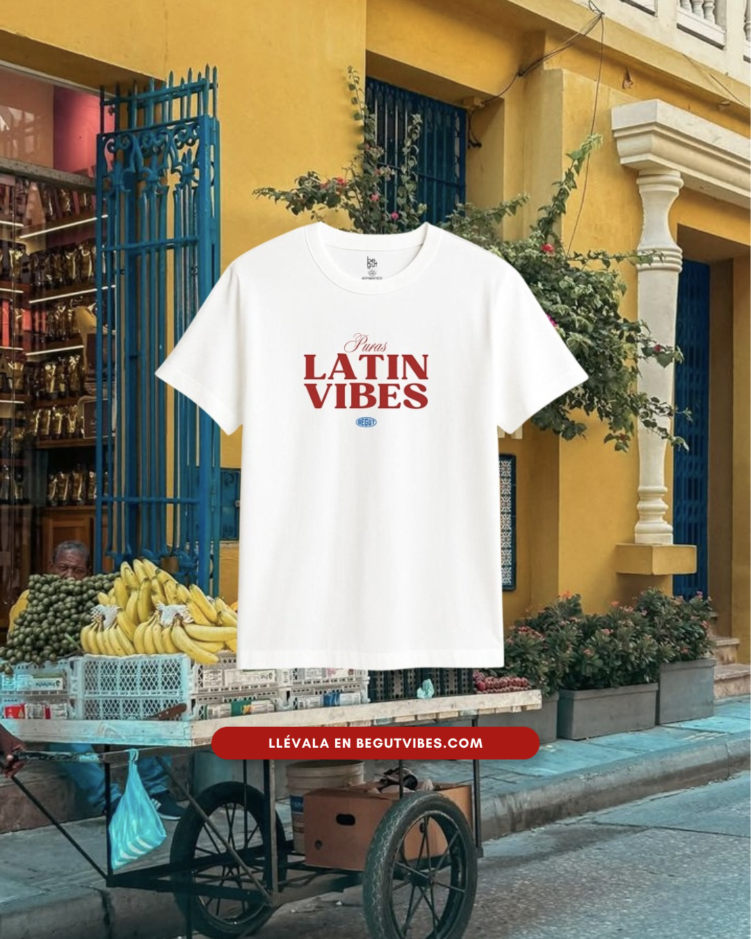 T-Latin Vibes