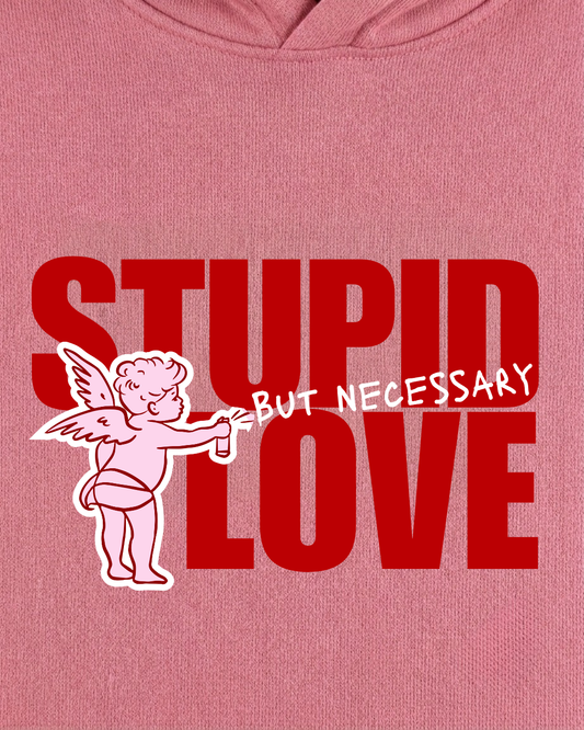 H-Stupid Love